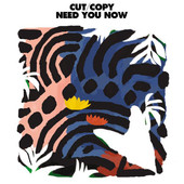 Album Art: Need You Now